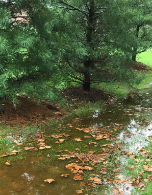 Standing Water Problems